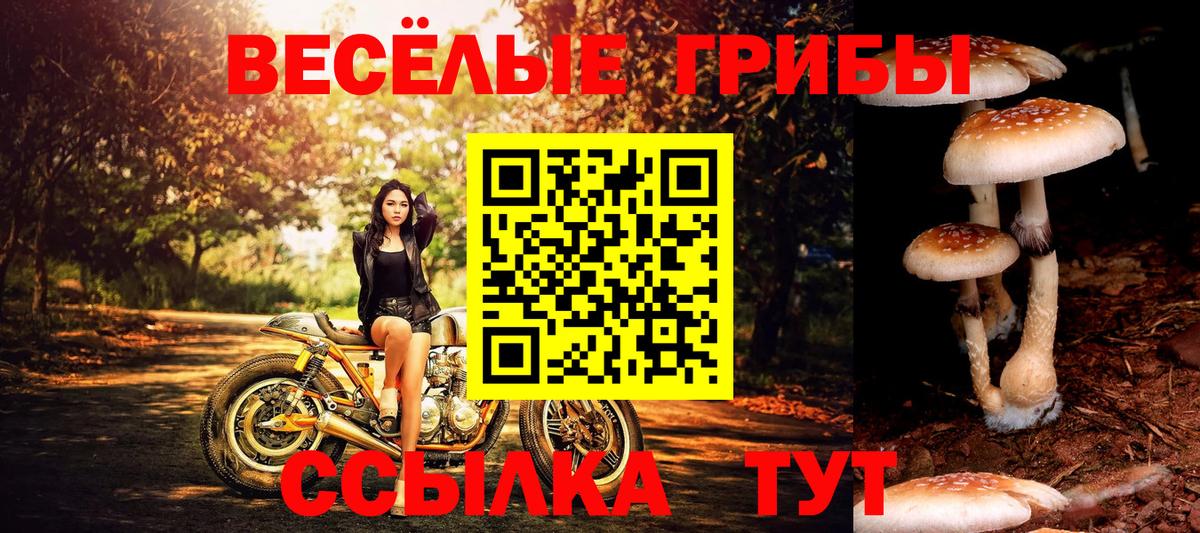 Галлюциногенные грибы Magic Shrooms Гусиноозёрск